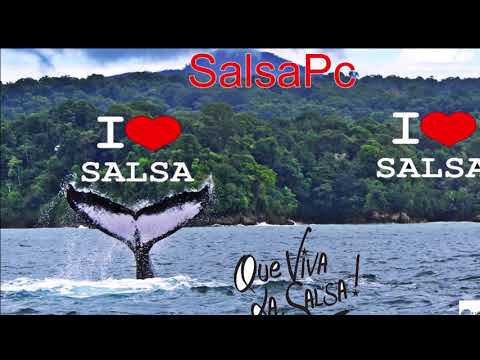 Rumba Morena  #SalsaPc
