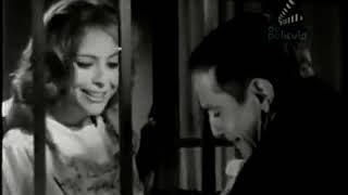 Pelicula mexicana escuela para solteras