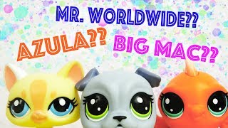 My LPS Collection! (Naming 300+ LPS!)