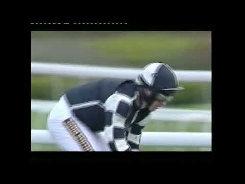 2005 Liverpool Long Distance Hurdle - Aintree meeting