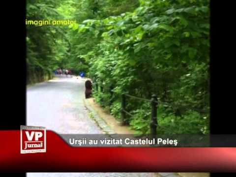 URSII AU VIZITAT CASTELUL PELES