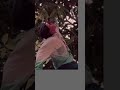 Shoot The Videos Adult Videos