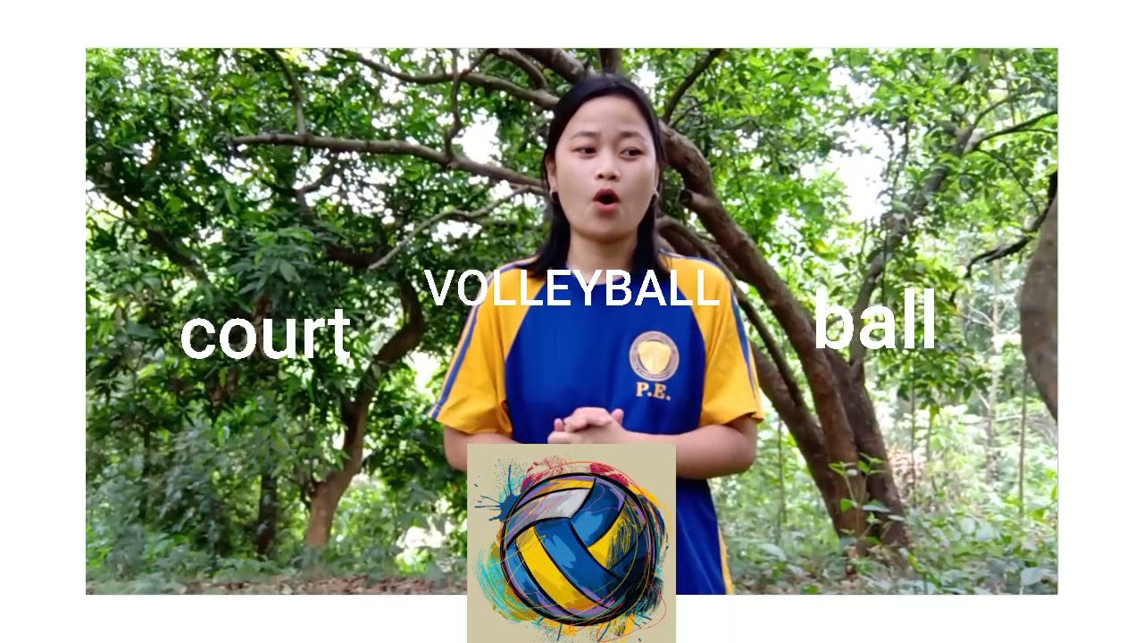 Volleyball court & ball, and some terminologies | Activity 1. PEN4