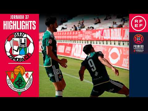 bg-highlight