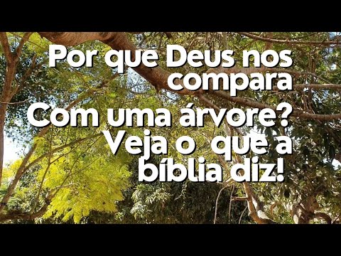 DEUS compara o HOMEM com ÁRVORES!/Edvaldo Ribeiro/Texto Bíblico: Jr.: 17:7-8 🙏