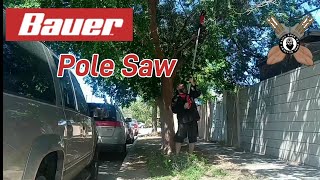 Let's Get Cutting Bauer Pole Saw