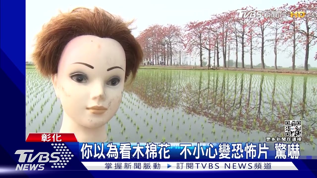 你以為看木棉花！不小心變恐怖片驚嚇