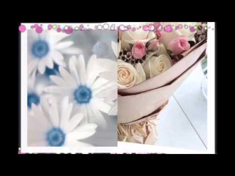 سلامتك والشر طار