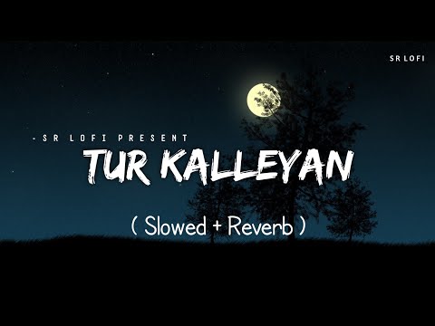 Tur Kalleyan - Lofi (Slowed + Reverb) | Arijit Singh, Shadab Faridi, Altamash Faridi | SR Lofi