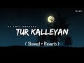 Tur Kalleyan - Lofi (Slowed + Reverb) | Arijit Singh, Shadab Faridi, Altamash Faridi | SR Lofi
