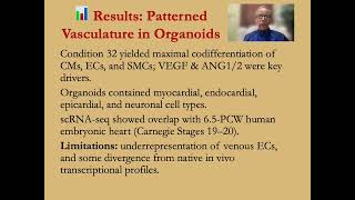 Mini Organs (Gastruloids), Major Insights, Marvelous Science 🧫🔬✨