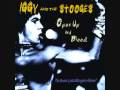 Iggy & The Stooges - Johanna
