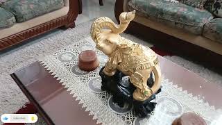 HOUSE TOUR | Mansion in Dauis Panglao island of Bohol | 9 BR | Swimming Pool | P