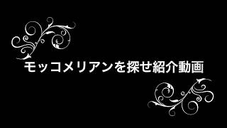 モッコメリアンを探せ紹介ムービー2