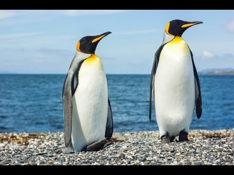 Godver de godver de godverdomme!