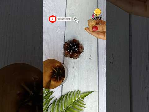 Most Amazing Way to reuse Plastic bottle | #short #shorts #ticktock#DIY #plasticbottlecraft