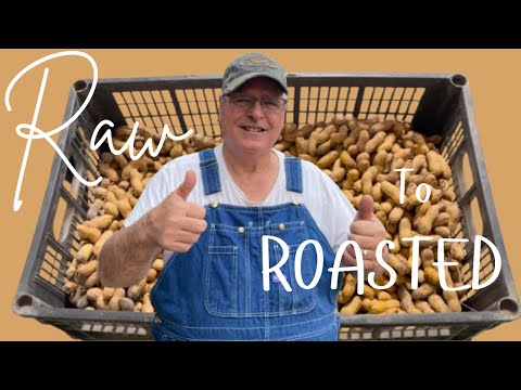 Paracuca (Roasted Peanuts) video thumbnail