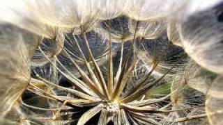 Hear Me Sing- AM Video Contest Entry