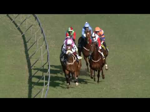 2021.05.29 Woolavington 2000 (RSA) - War of Athena