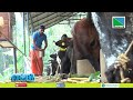 PRAJEESH KRUSHI FARMING NERVAZHI