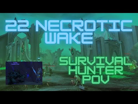22 Necrotic Wake - Survival Hunter PoV (Tyrannical)