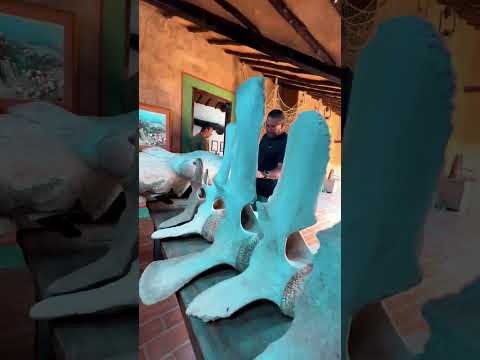 Ruta Turistica: Conociendo Nueva Esparta