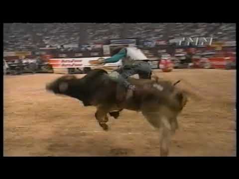 Jersey Nut bucks Leslie Doyle - 99 PBR Finals