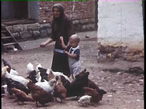 Тријићи - Љубовија - Читлук / Trijići, Ljubovija, Čitluk