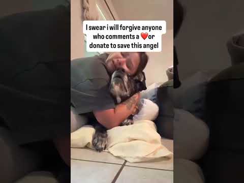 please donate if you can link in our bio to support #NYC#LosAngeles#Chicago#Texas#Florida#california