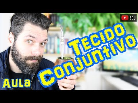 Tecido Conjuntivo - Histologia - Aula | Biologia com Samuel Cunha