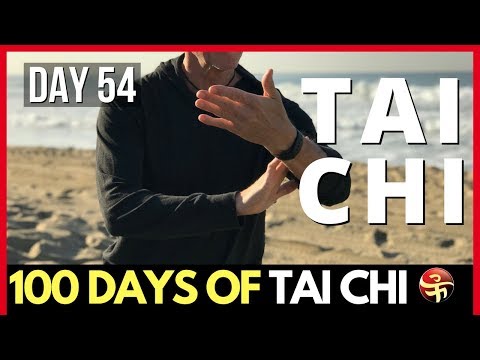 The Correct Rhythm of Tai Chi | Learn Tai Chi at Home | 100 Days of Tai Chi
