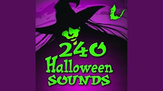 Low Throbbing Heartbeat Sound EFX