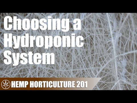 Which Hydroponic System is Better?