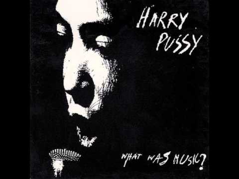 Harry Pussy - Hp Superstar