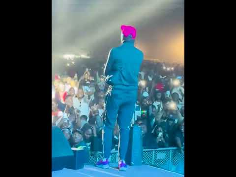Shebeshxt performance Rato Laka#lekompolifestyle #lekompobalconymix