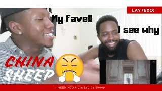 Lay I Need You reaction
