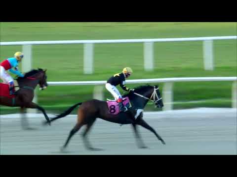 220219 c09 - 1° NICO - HIPODROMO DE MAROÑAS