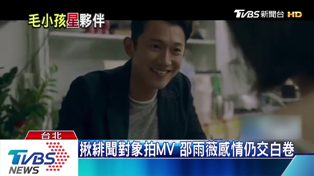 邵雨薇愛犬找伴不要狗! 寵物溝通師:牠要貓