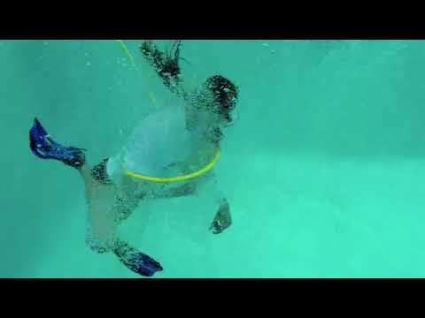 Hookah Diving Girl Sexy