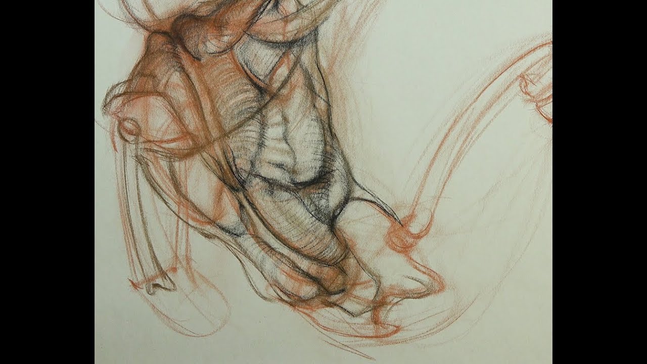 ANATOMY FOR ARTISTS:  The Torso-Active Diagram (The back)