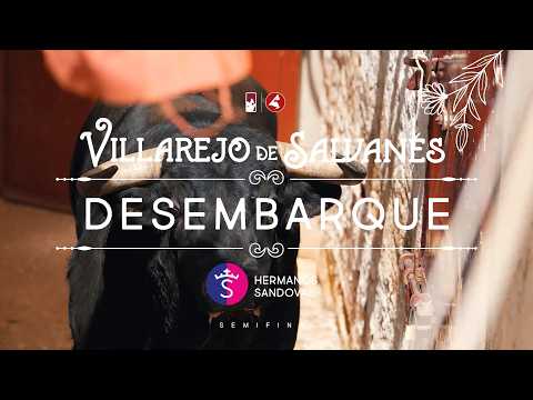 Novillada de Hermanos Sandoval en Villarejo de Salvanés