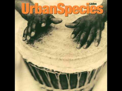 Urban Species - Hide and Seek