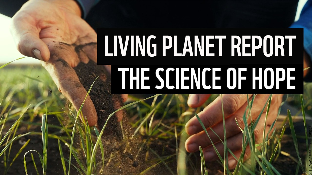 Living Planet Report 2026 – How Leadership Can Accelerate Nature’s Recovery | WWF