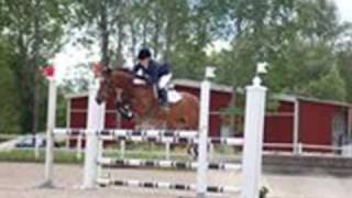 Min älskade ponny Florran (L)