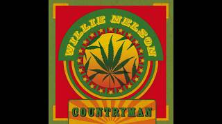 Willie Nelson - Do You Mind Too Much If I Don't Understand