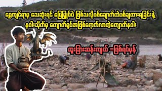 နးါးသိုက်မှကျောက်အရုပ်အဖြစ်ရောက်လာတဲ့ ကျောက်နဂါး// ဖြစ်ရပ်မှန်