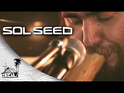 Sol Seed - Family Tree (Live Music) | Sugarshack Sessions