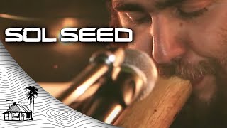 Sol Seed - Family Tree (Live Acoustic) | Sugarshack Sessions