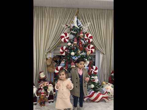 ROMANE GILA WASABI ROZA