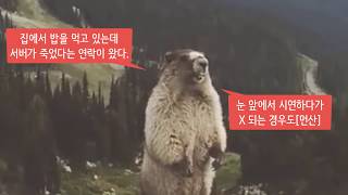 혼자 공부하는 파이썬 41강 - 구문 오류와 예외